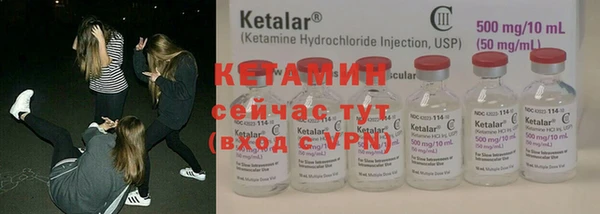 крисы Алзамай