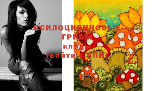дживик Алексеевка